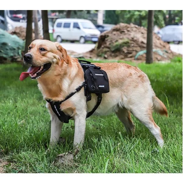 Arnés con Mochila para Perros — Paseos y Trekking