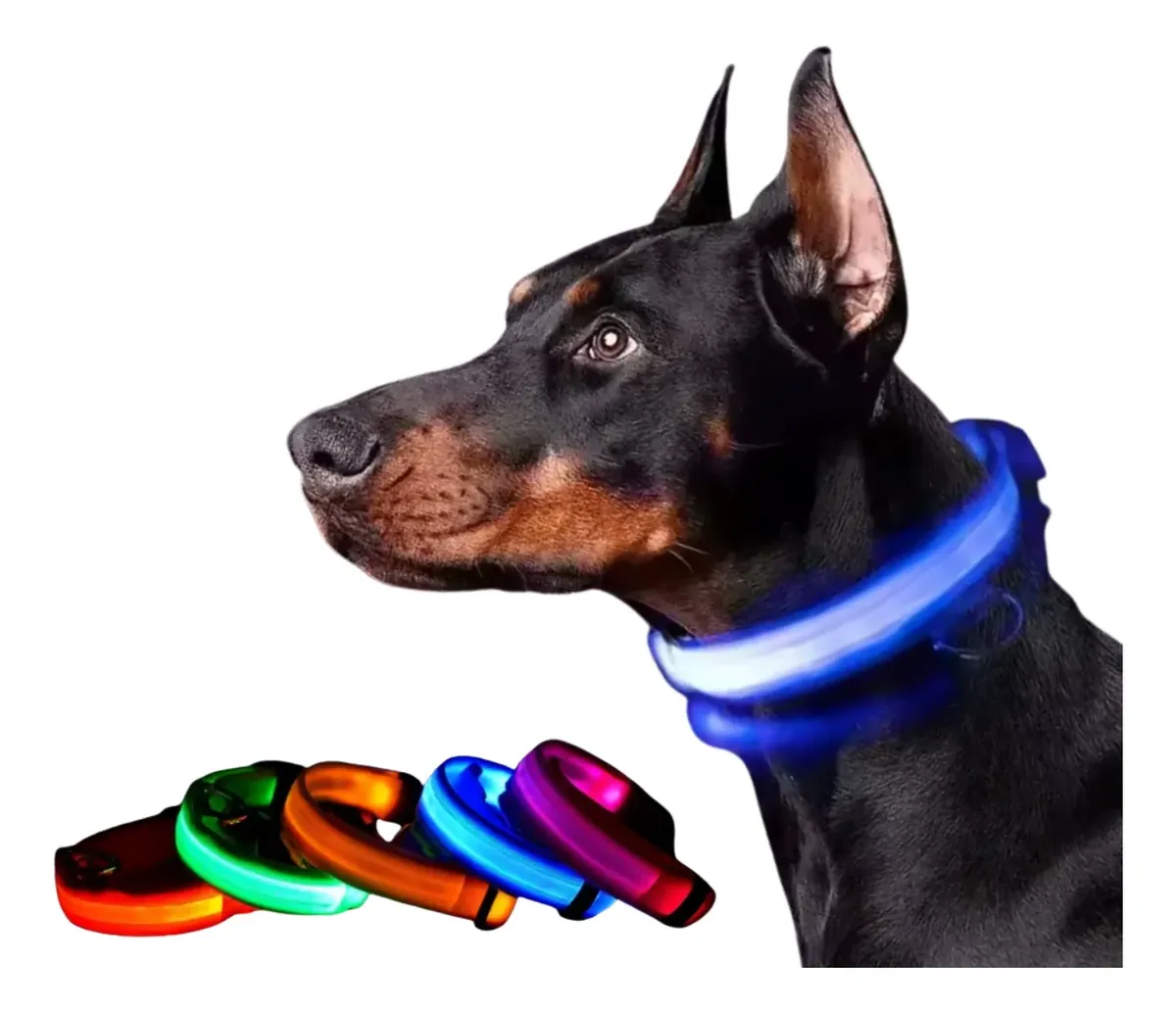 Collar Led Perro Mascotas Paseo Nocturno Usb